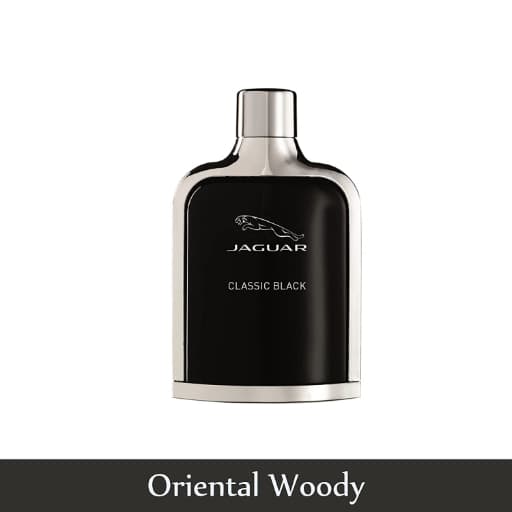Jaguar Classic Black Edt 100ml Perfume (Men)