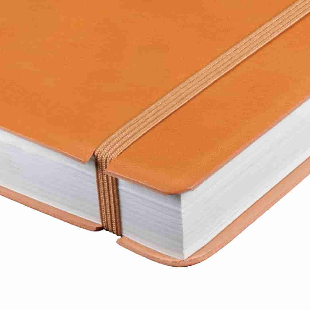 Anupam FLXY Diary 2025 A5 (80 GSM) Tan